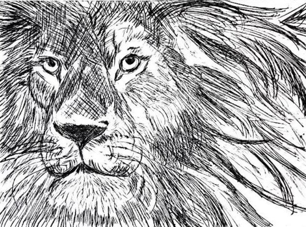 Løve - grafikk