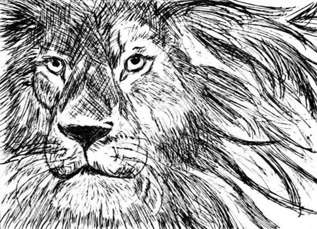 Løve - grafikk